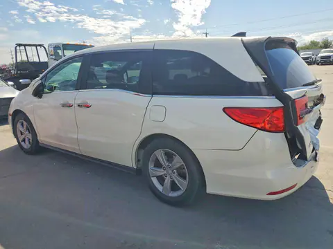 2019 Honda Odyssey VIN 5FNRL6H71KB010608 фото 2