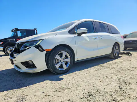 5FNRL6H72KB041351 — 2019 Honda Odyssey, Parte delantera (Front End), fotos antes de reparar