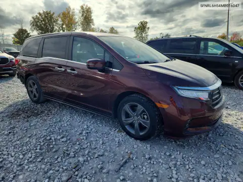 5FNRL6H54MB016047 — 2021 Honda Odyssey, фото 4 с аукциона Copart, Задняя часть