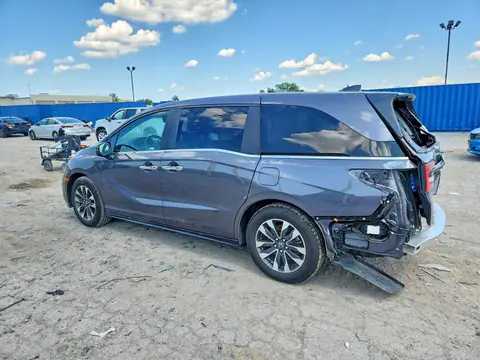 2024 HONDA ODYSSEY VIN 5FNRL6H62RB062590 фото 2