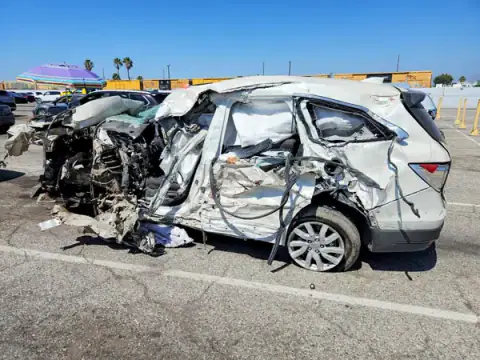 5FNYF5H13KB040069 — 2019 Honda Pilot, zdjęcie 2 z Copart, Dachowanie