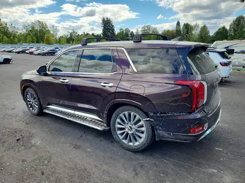 KM8R5DHEXLU165501 — 2020 Hyundai Palisade, photo 2 from Copart 14.10.2026, Rear end