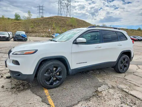 1C4PJMCS5FW792989 Jeep Cherokee 2015 — повреждение Град, фото до ремонта