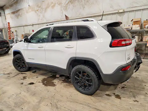 1C4PJMLX6JD509144 — 2018 Jeep Cherokee, zdjęcie 2 z Copart 21.10.2026, Tył