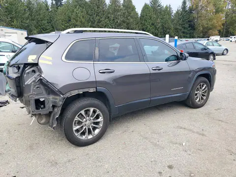 1C4PJMLB8LD569062 — 2020 Jeep Cherokee, ფოტო 3, Copart 19.10.2026, უკანა ნაწილი