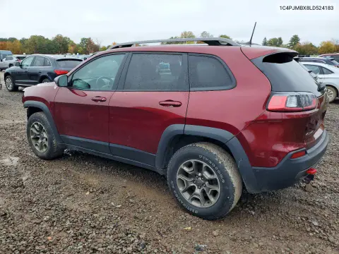 2020 Jeep Cherokee Trailhawk VIN 1C4PJMBX8LD524183 фото 2