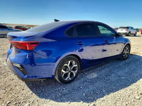 3KPF24AD0LE204824 — 2020 Kia Forte, zdjęcie 3 z Copart, Tył