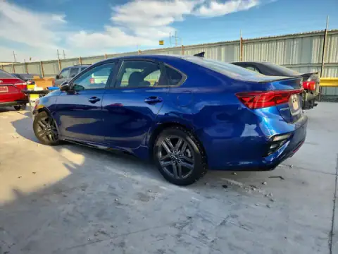 3KPF34AD8LE248762 — 2020 Kia Forte, photo 2 from Copart, Side