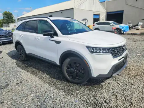 5XYRLDLCXMG021546 — 2021 Kia Sorento, photo 4 from Copart, Flood