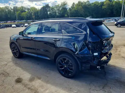 5XYRKDLF0MG041608 — 2021 Kia Sorento, photo 2 from Copart, Rear end