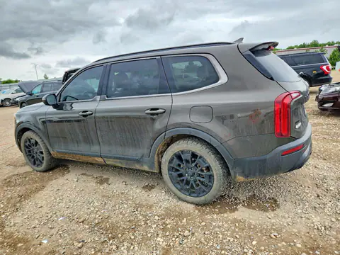 5XYP3DHC5MG187005 — 2021 Kia Telluride, фото 2 з Copart 19.10.2026, Задня частина