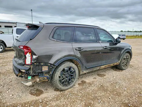 5XYP3DHC5MG187005 — 2021 Kia Telluride, фото 3 з Copart 19.10.2026, Задня частина