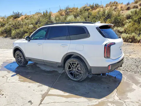 2024 KIA Telluride VIN 5XYP5DGCXRG550434 фото 2