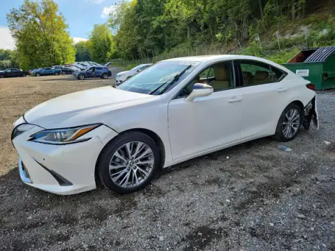 58ADZ1B12LU068904 — 2020 Lexus ES, ПЕРЕДНЯЯ ЧАСТЬ (Front End), фото до ремонта