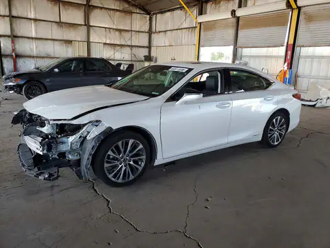 58AD21B15LU007034 — 2020 Lexus ES, Front end (Front End), before-repair photos
