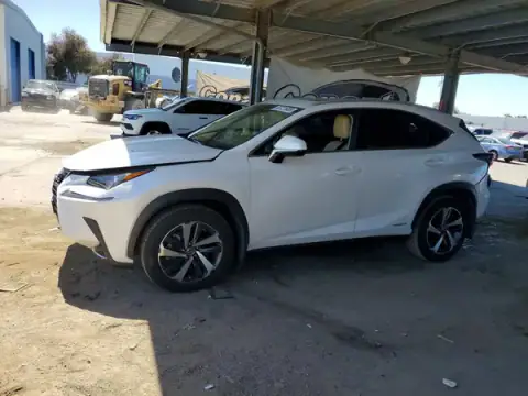 JTJBJRBZ5J2094787 — 2018 Lexus NX, Przód (Front End), zdjęć przed naprawą