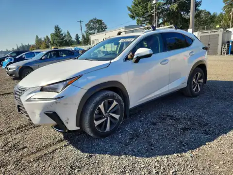 JTJBJRBZ0K2106393 — 2019 Lexus NX, Parte delantera (Front End), fotos antes de reparar