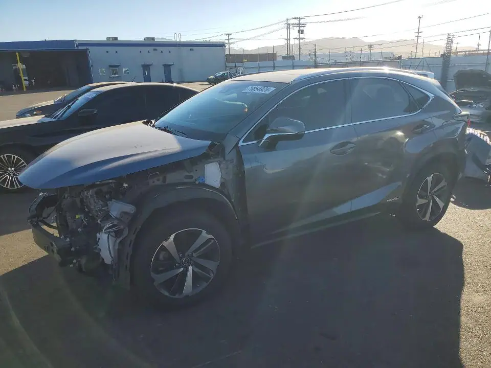 2019 Lexus NX VIN JTJBJRBZ1K2101171 фото 1