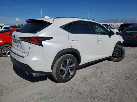 JTJGARDZXL2221135 — 2020 Lexus NX, photo 3 from Copart 22.10.2026, Front end