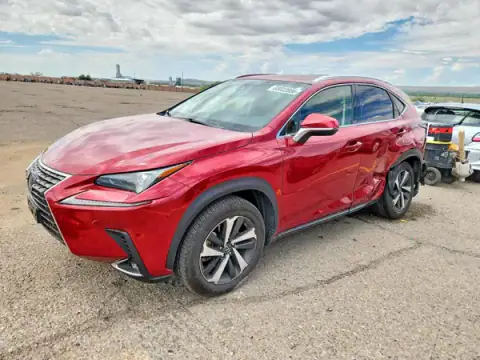 JTJGARBZ4L5007243 — 2020 Lexus NX, Side (Side), before-repair photos