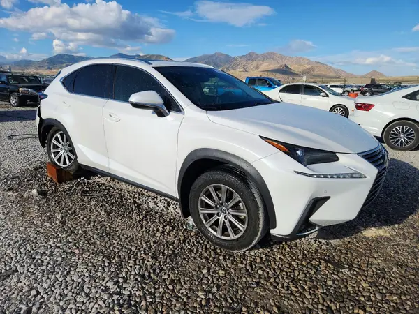 JTJDARDZ9L5003253 — 2020 Lexus NX, photo 4 from Copart 16.10.2026, Rear end