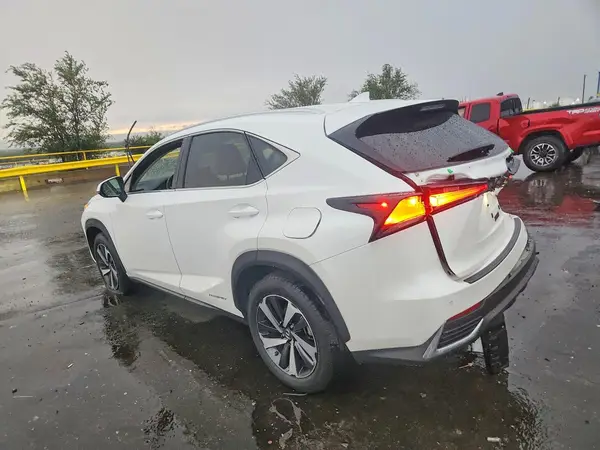 JTJGJRDZ8L2144183 — 2020 Lexus NX, фото 2 с аукциона Copart 13.10.2026, Задняя часть