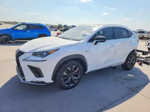 JTJSARBZ9M5032053 — 2021 Lexus NX, უკანა ნაწილი (Rear End), ფოტოები შეკეთებამდე