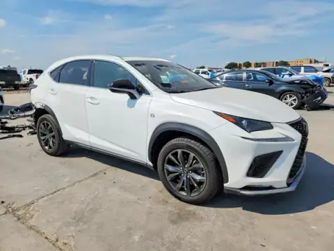 JTJSARBZ9M5032053 — 2021 Lexus NX, фото 4 з Copart, Задня частина