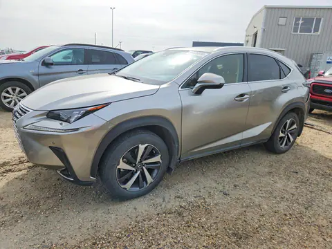 JTJHARDZ9M2238885 — 2021 Lexus NX, Tył (Rear End), zdjęć przed naprawą