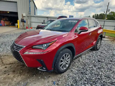 JTJDARBZ3M5024927 — 2021 Lexus NX, Rear end (Rear End), before-repair photos