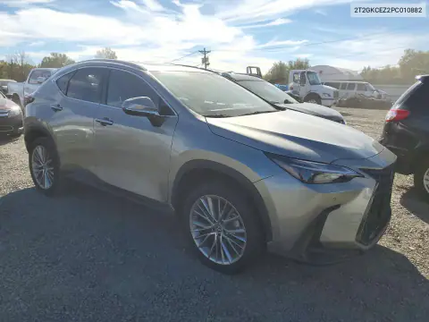 2T2GKCEZ2PC010882 — 2023 Lexus NX, фото 4 з Copart, Незначні вм’ятини й подряпини