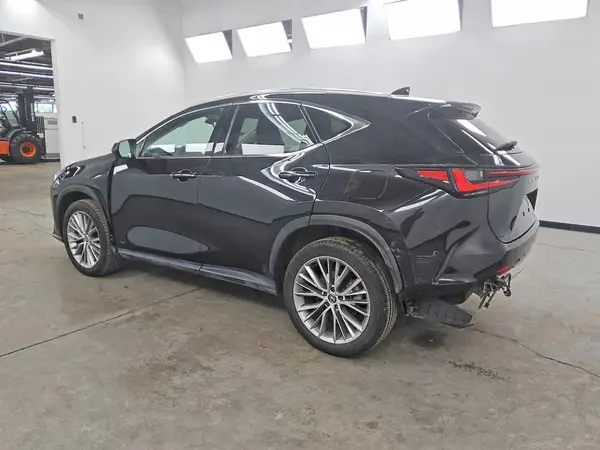 2T2HGCEZ4RC048672 — 2024 Lexus NX, фото 2 с аукциона Copart 29.09.2026, Задняя часть