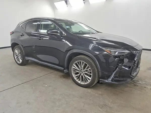 2T2HGCEZ4RC048672 — 2024 Lexus NX, фото 4 с аукциона Copart 29.09.2026, Задняя часть