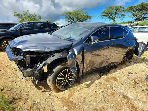 2024 LEXUS NX VIN JTJGDCAZ8R2010534 фото 1