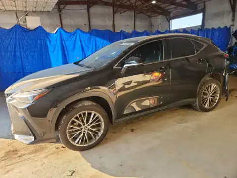 2T2HKCEZ9RC027282 — 2024 Lexus NX, Tył (Rear End), zdjęć przed naprawą