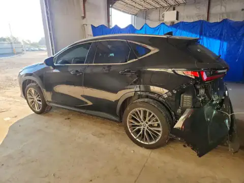 2T2HKCEZ9RC027282 — 2024 Lexus NX, zdjęcie 2 z Copart 28.09.2026, Tył
