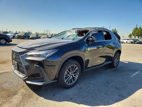 2T2GDCAZ4SC020015 — 2025 Lexus NX, Vuelco (Rollover), fotos antes de reparar