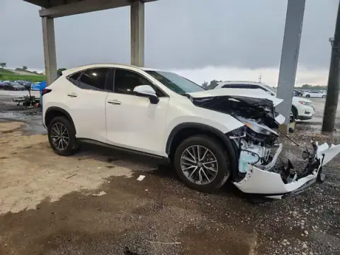 2T2GGCEZ4SC085819 — 2025 Lexus NX, foto 4 de Copart, Parte delantera