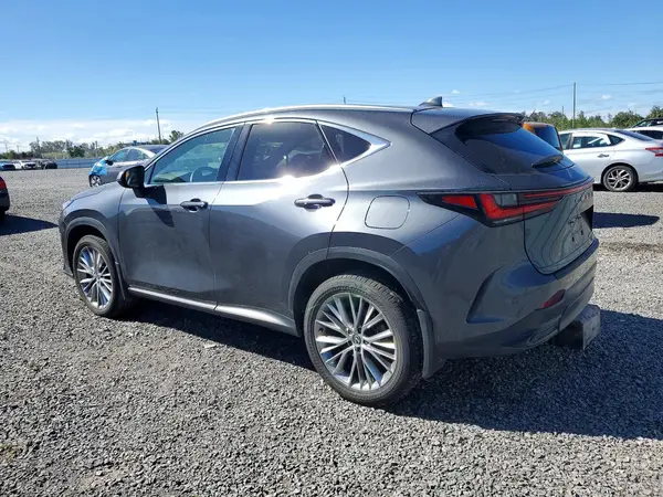 2T2GKCEZ3SC044595 — 2025 Lexus NX, фото 2 с аукциона Copart 01.10.2026, Вандализм