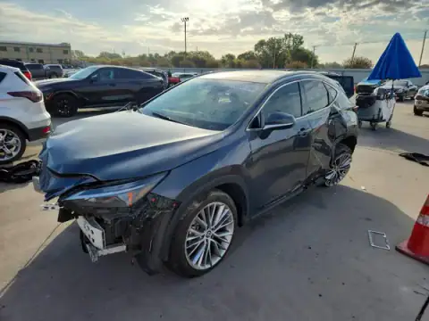 2T2GGCEZ5SC077938 — 2025 Lexus NX, ПЕРЕДНЯЯ ЧАСТЬ (Front End), фото до ремонта