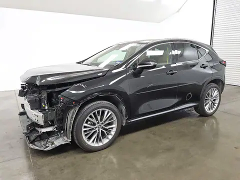 2T2HKCEZ1SC050223 — 2025 Lexus NX, Przód, zdjęć przed naprawą