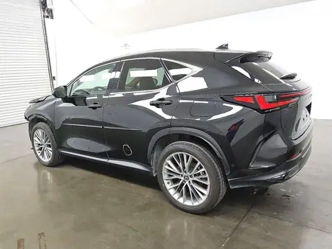 2T2HKCEZ1SC050223 — 2025 Lexus NX, photo 2 from Copart 22.10.2026, Front end