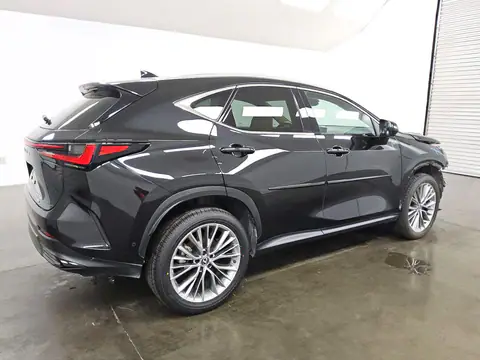 2T2HKCEZ1SC050223 — 2025 Lexus NX, photo 3 from Copart 22.10.2026, Front end