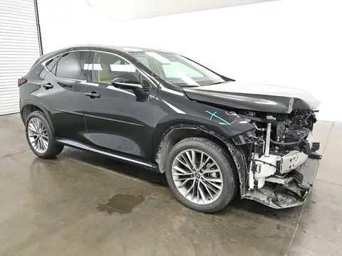 2T2HKCEZ1SC050223 — 2025 Lexus NX, photo 4 from Copart 22.10.2026, Front end