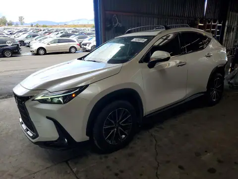 2T2ADCAZ9SC025927 — 2025 Lexus NX, Rear end, before-repair photos