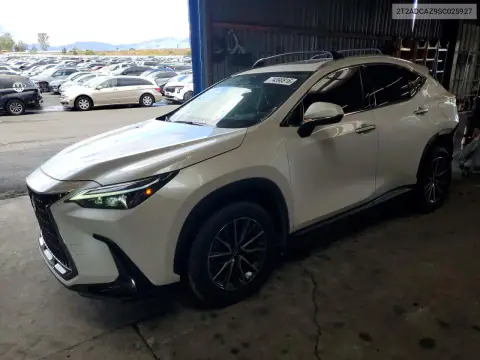 2T2ADCAZ9SC025927 — 2025 Lexus NX, Parte trasera, fotos antes de reparar