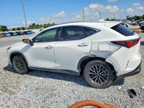 2T2AGCEZ5TC104109 — 2026 Lexus NX, photo 2 from Copart 02.10.2026, Rear end
