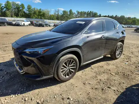 2T2AGCEZ6TC116169 — 2026 Lexus NX, ЗАДНЯЯ ЧАСТЬ (Rear End), фото до ремонта