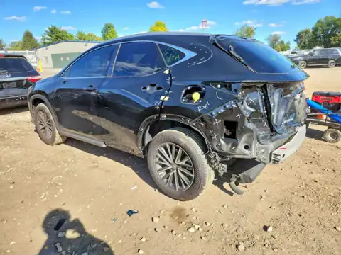 2T2AGCEZ6TC116169 — 2026 Lexus NX, фото 2 с аукциона Copart, ЗАДНЯЯ ЧАСТЬ