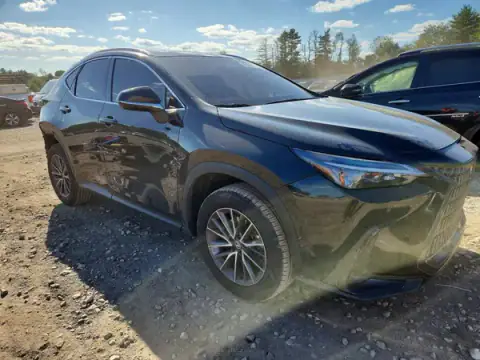 2T2AGCEZ6TC116169 — 2026 Lexus NX, фото 4 с аукциона Copart, ЗАДНЯЯ ЧАСТЬ